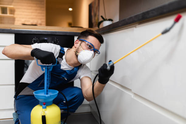 Best Residential Pest Control  in West Loch Estate, HI