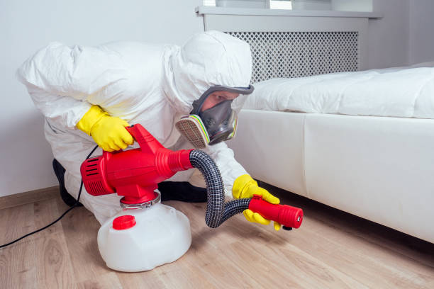 Best Local Pest Control Services  in West Loch Estate, HI