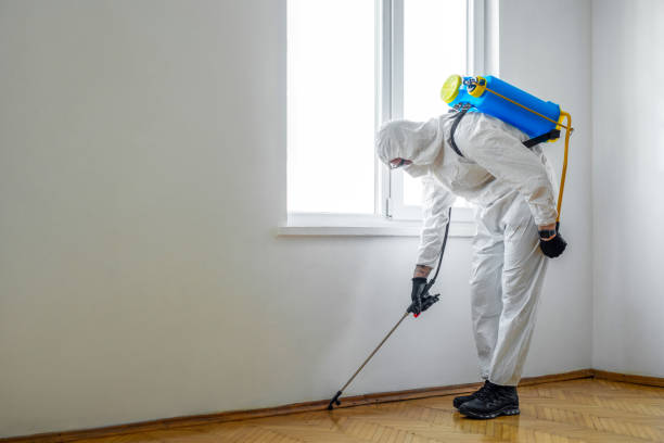 Best Affordable Pest Control Services  in West Loch Estate, HI