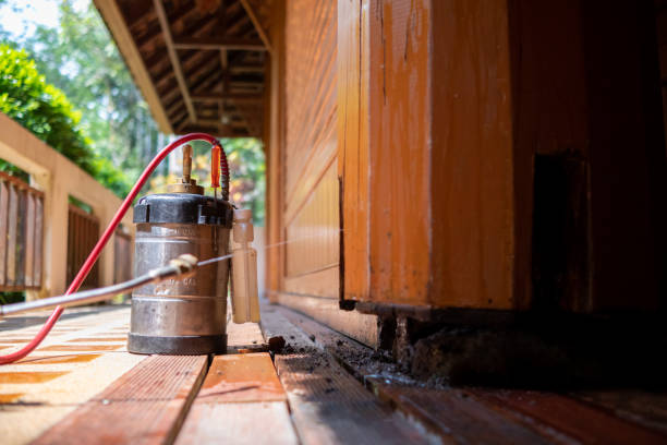Best Mosquito Control Services  in West Loch Estate, HI