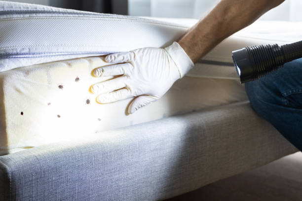 Best Ant Control Services  in West Loch Estate, HI