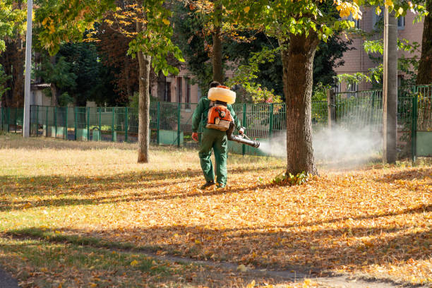 Best Pest Control Near Me  in West Loch Estate, HI