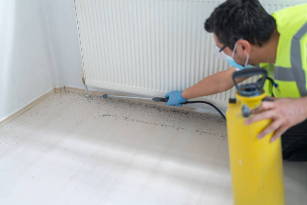 Best Pest Inspection Near Me  in West Loch Estate, HI