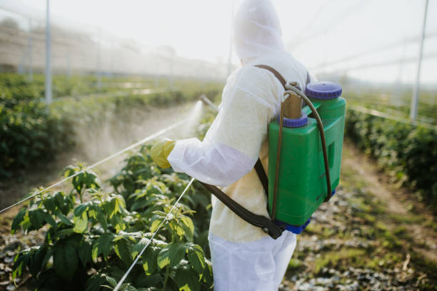 Best Pest Prevention Services  in West Loch Estate, HI